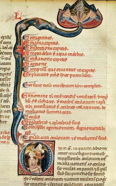 MS.Lat.6912 Illuminationen aus Band 2 des Continens von Rhazes über Augenheilkunde und Augenkrankheiten, 1282 von Giovanni da Monte Cassino